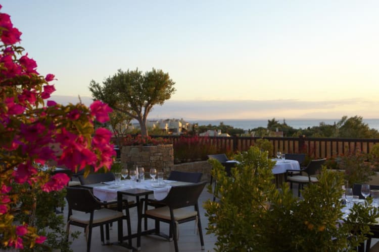 Rooftop dining